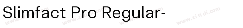 Slimfact Pro Regular字体转换